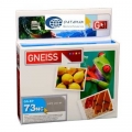 Gneiss 73 Cian p/Epson