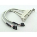 Cable USB interno 4 USB Externo